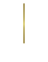 TOPへもどる